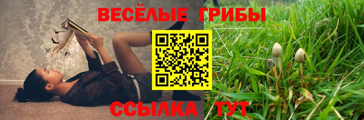 Псилоцибиновые грибы ЛСД  Вход с VPN  закладки  Кстово  Псилоцибиновые грибы ЛСД 